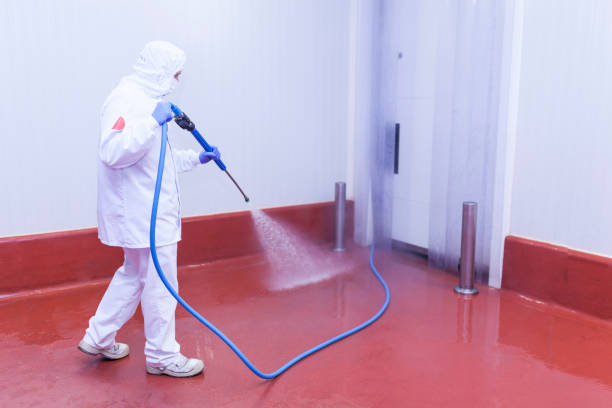 Best Paint Preparation  in Loretto, PA